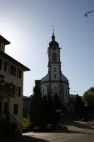 IMG_8290